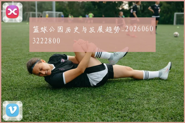 篮球公园历史与发展趋势_20260603222800