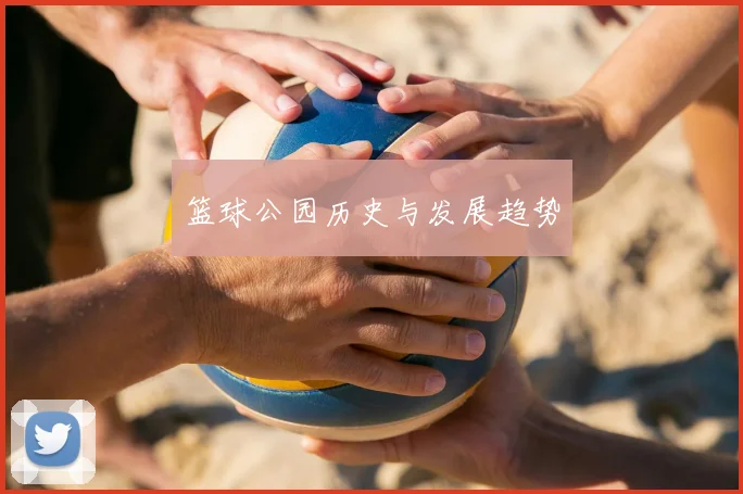篮球公园历史与发展趋势