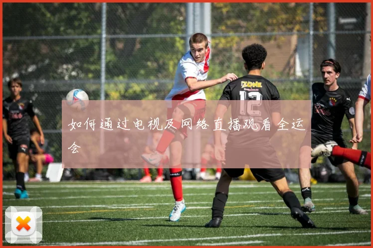 如何通过电视及网络直播观看全运会