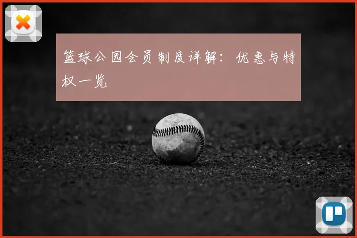 篮球公园会员制度详解：优惠与特权一览